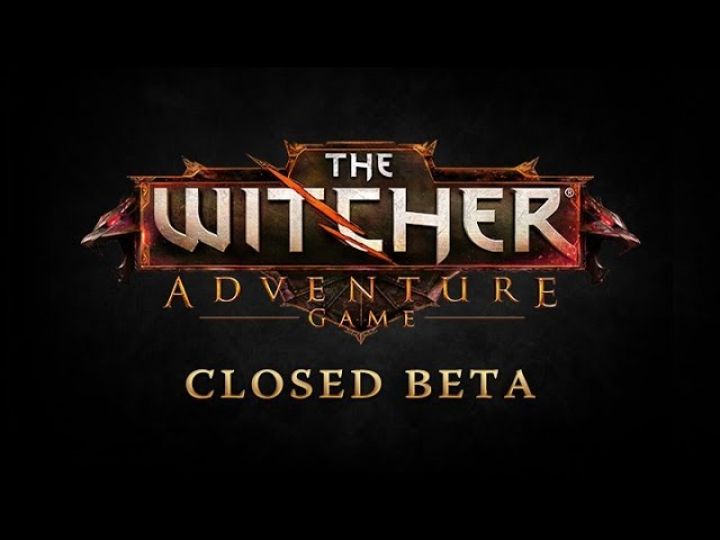Game is closed. The Witcher Adventure game. The Witcher Adventure game обложка. Время приключений Ведьмак. Witcher Adventure game Cover.
